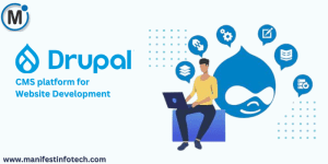 Drupal CMS logo - a blue water droplet with a white face-like design