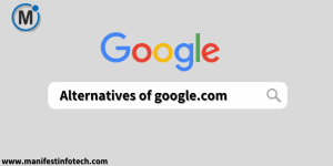 Google logo displayed with the text 'Alternatives-of-google.com' typed in the search box.